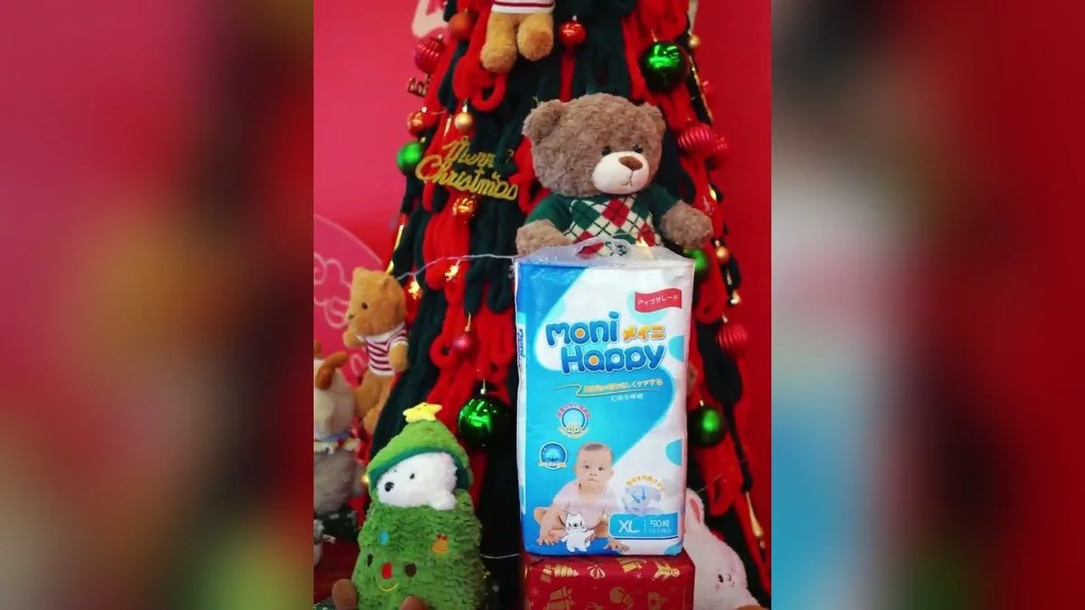 Merry Christmas 2024 — video still
